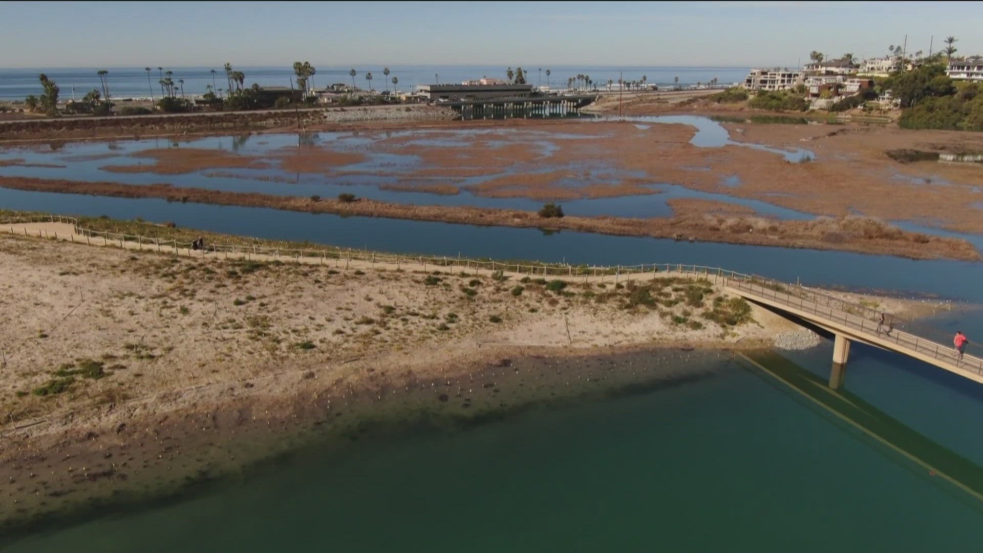 CBS 8's Elizabeth Sanchez reports on the danger to wildlife if sand from a replenishment project blocks access to the San Dieguito Lagoon. 