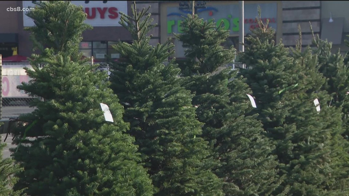 San Diegans react to rising Christmas tree prices