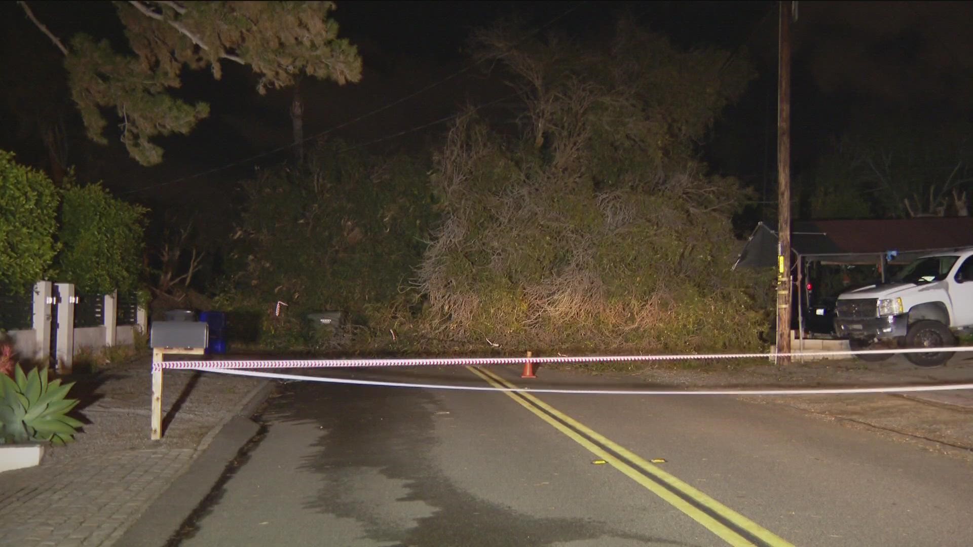 Heavy rain and powerful winds have brought down trees causing damage across San Diego County.