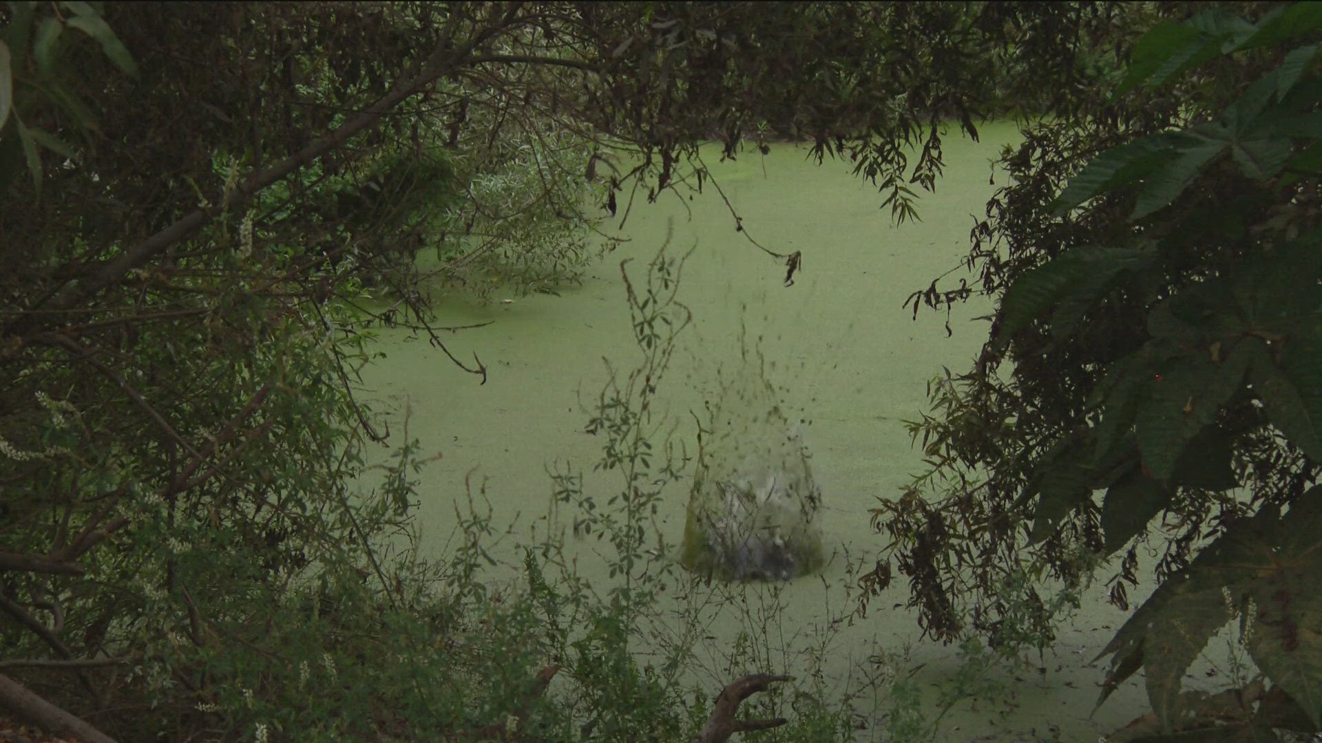 They plan to speak with randomly selected households to learn what health issues people are experiencing that could be caused by the sewage.