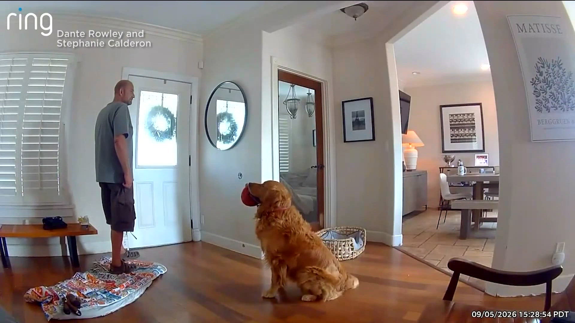 Caught on camera: San Diego golden retriever tries to befriend burglar