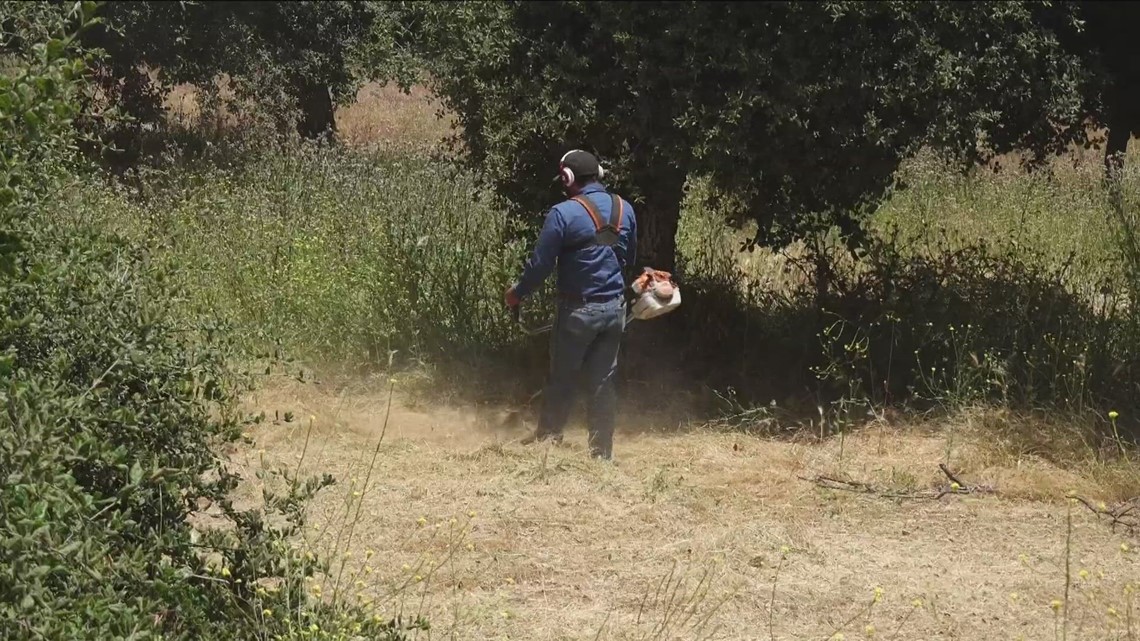 Julian residents preparing for fire season before it's too late - Vimarsana News