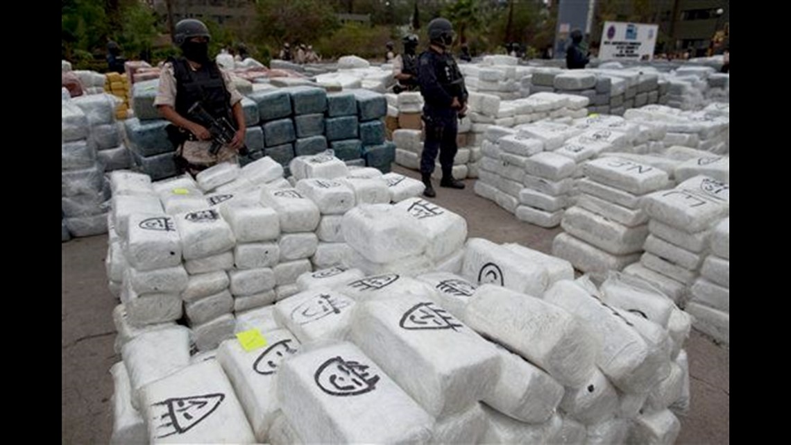 Mexico's largest pot bust likely hit Sinaloa gang | cbs8.com