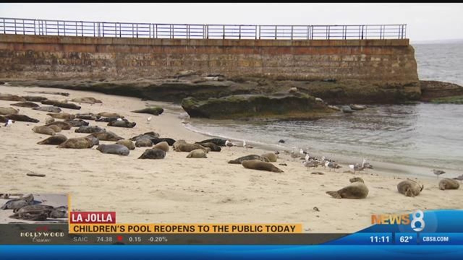 City reopens Children's Pool in La Jolla to the public