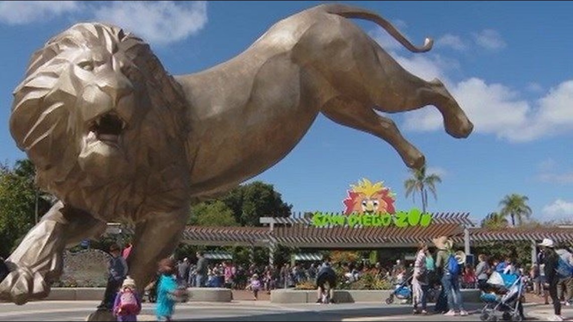 San Diego Zoo unveils colossal bronze lion statue | cbs8.com