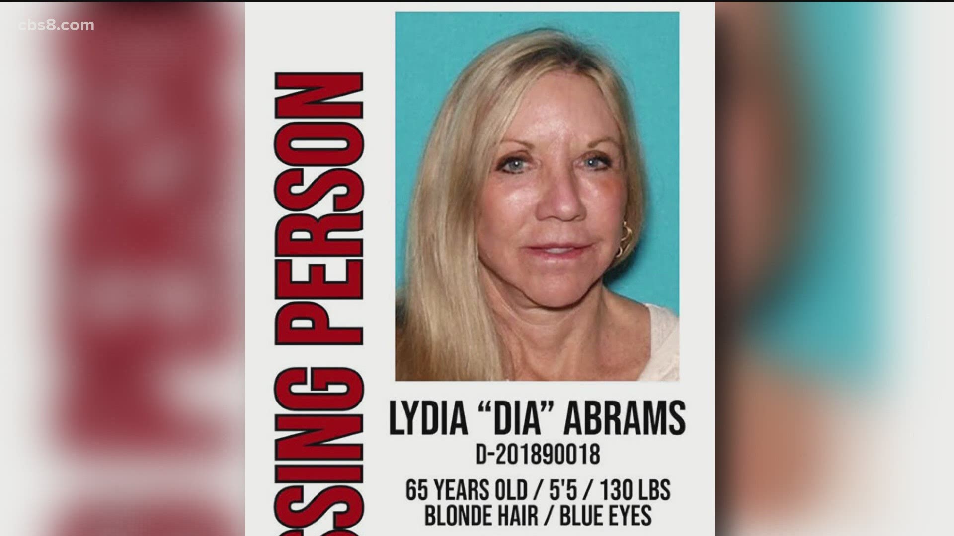 The self-proclaimed fiancé of a woman who went missing from her ranch near Idyllwild in June has filed a lawsuit, in which he claims to have power of attorney.