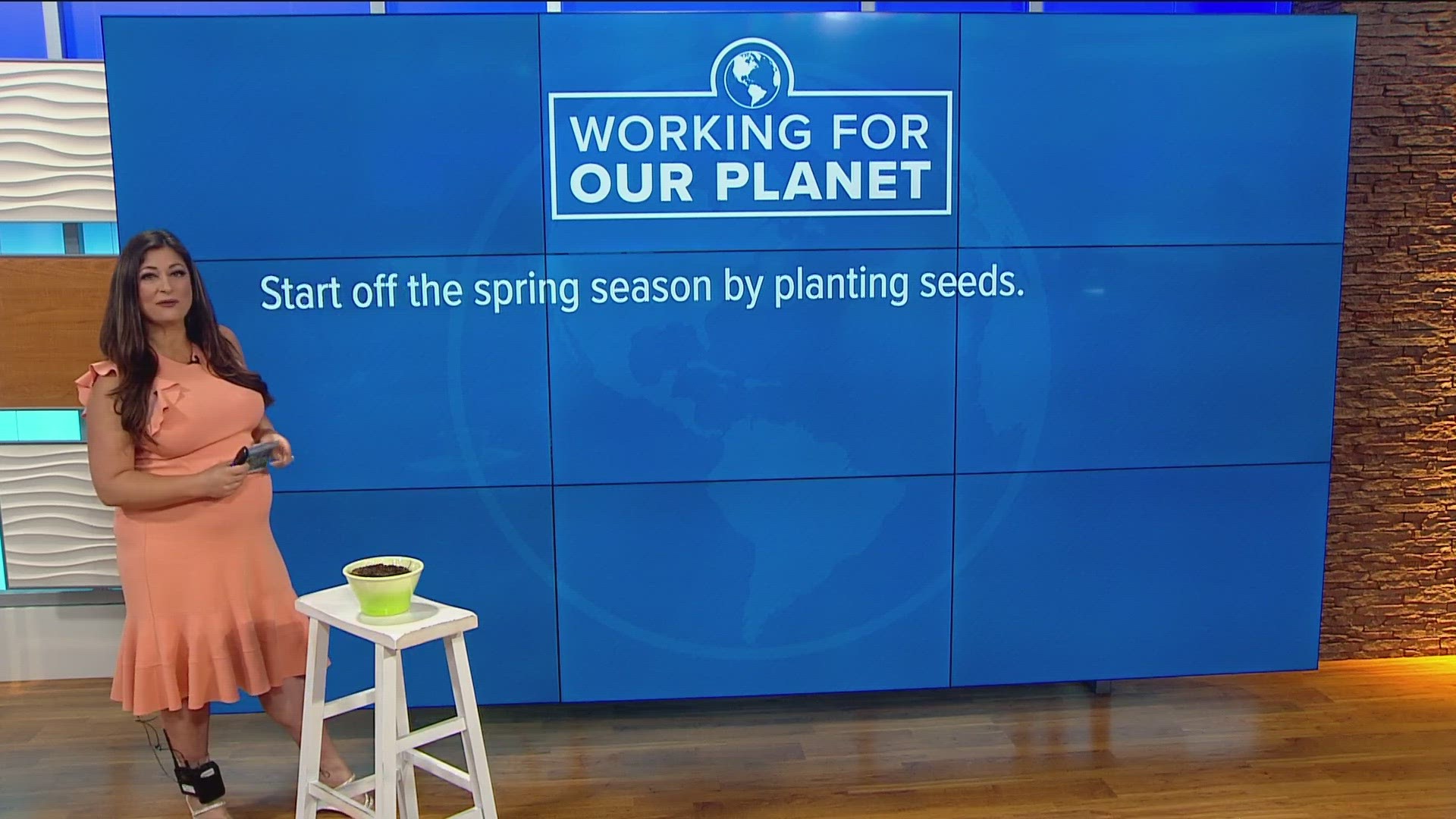 You can get seeds for just over a dollar and then plant them and take advantage of all the rain that is set to hit San Diego in the coming days and weeks.