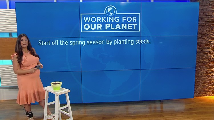 Working for Our Planet | Planting seeds on first day of Spring