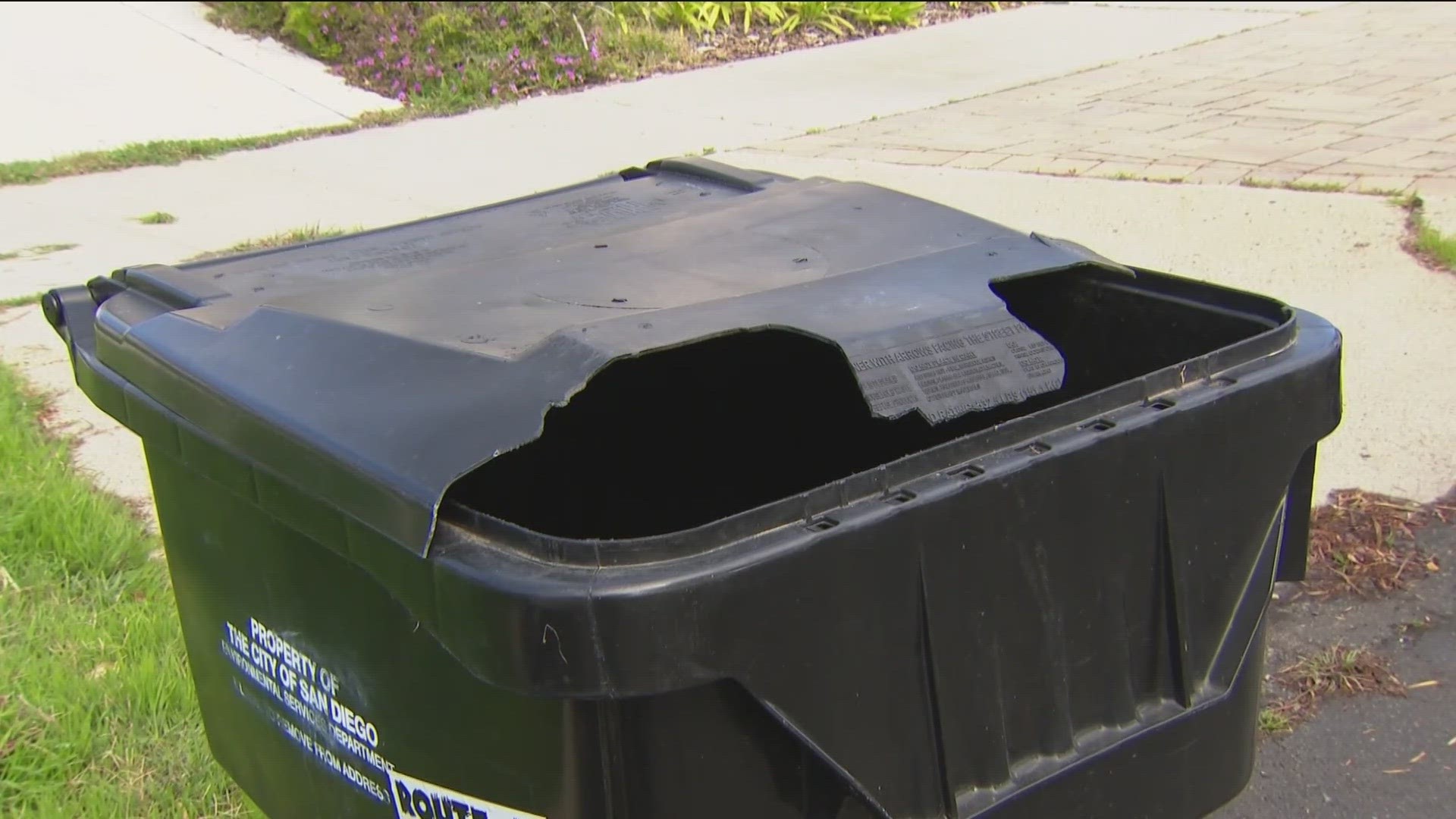 A viewer's video shows a city truck dumping not only his trash, but the entire bin with it before driving off. So who pays then?