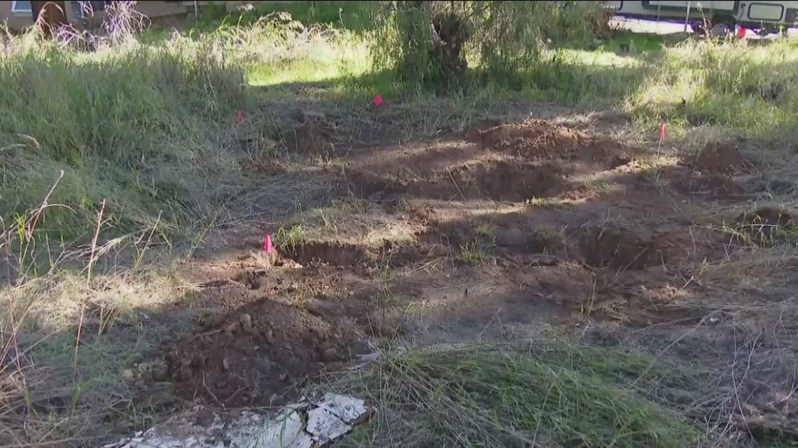 Human remains found at a Southcrest property have prompted a multi-agency probe centering on 74-year-old Dwight Rhone, a person of interest with a violent past.