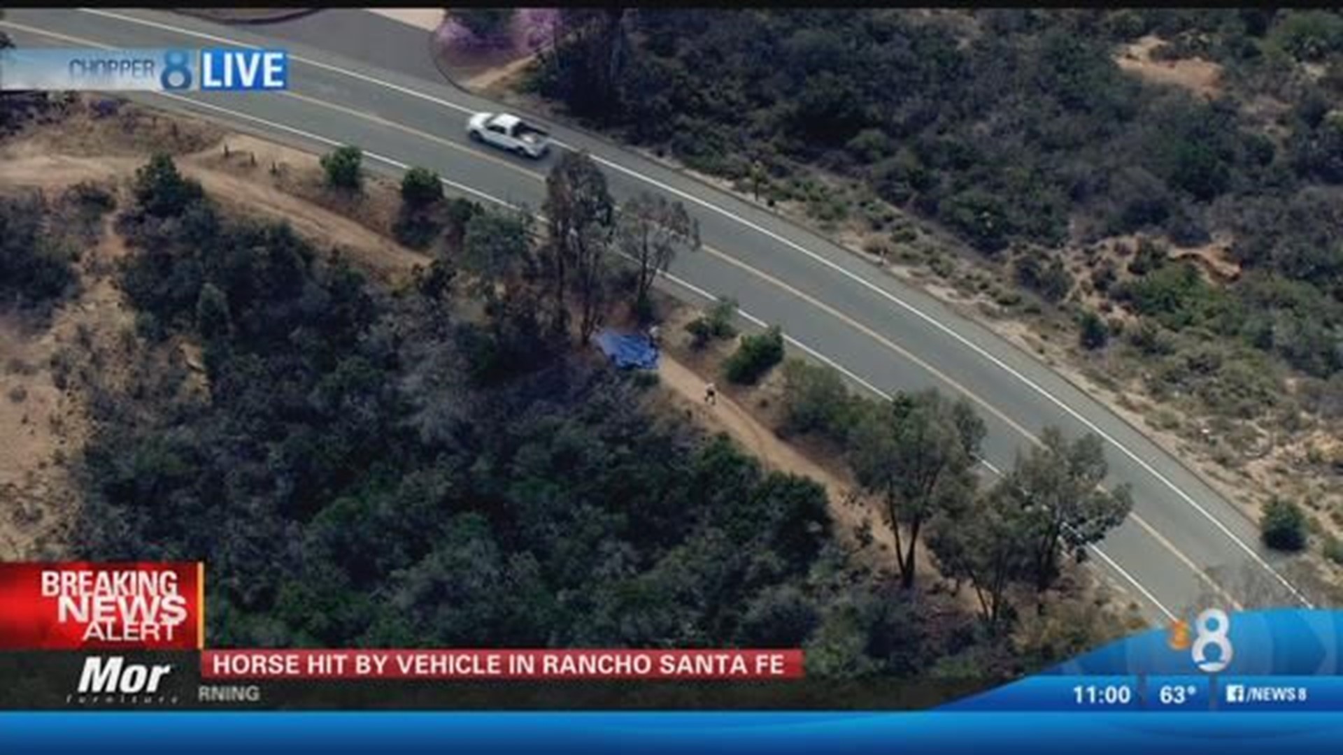 Woman injured, horse dies after being struck by car in Rancho Santa Fe ...