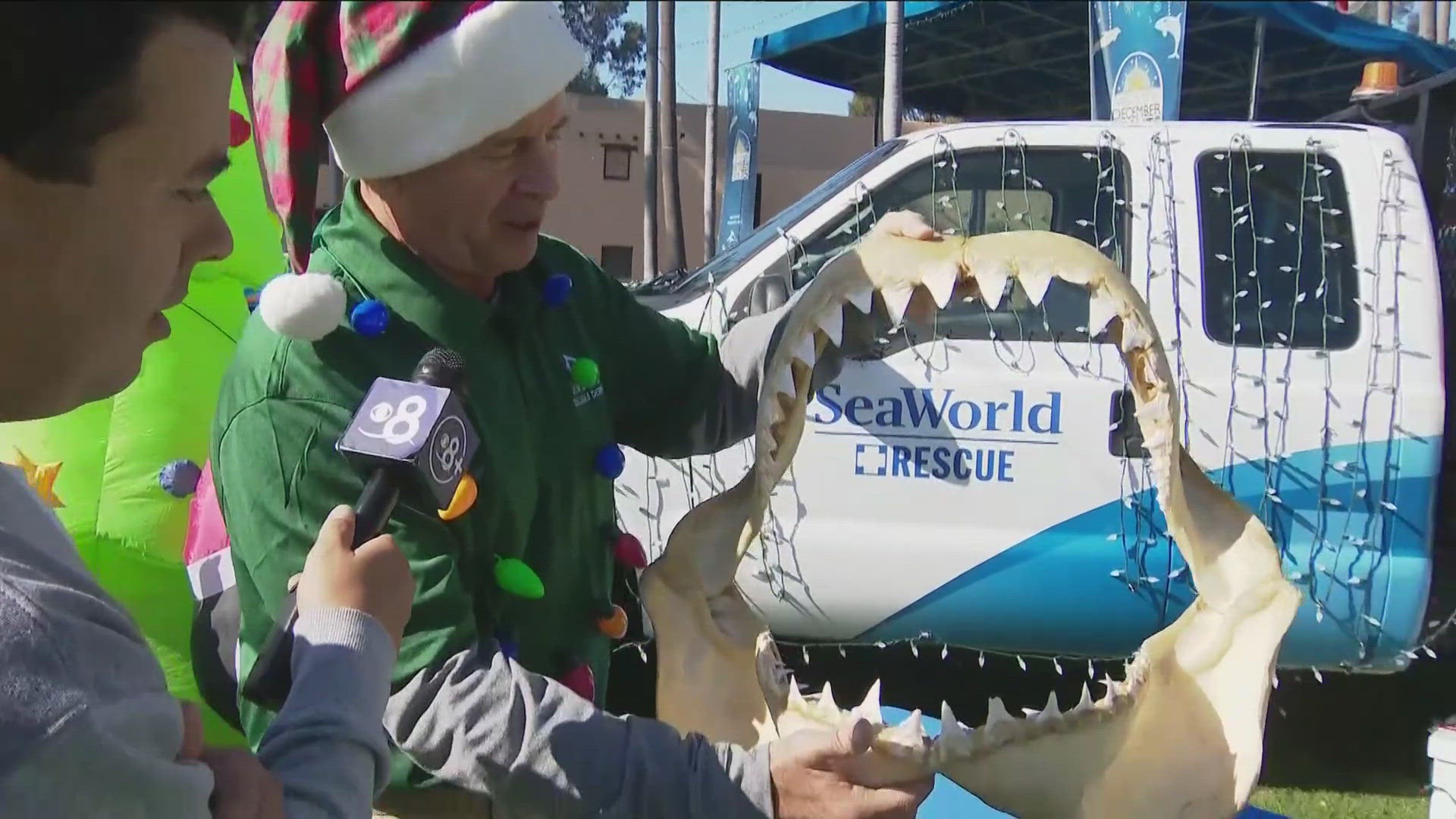 Vendors are preparing for the December Nights event on Dec. 6 in Balboa Park, including SeaWorld with an educational exhibit.