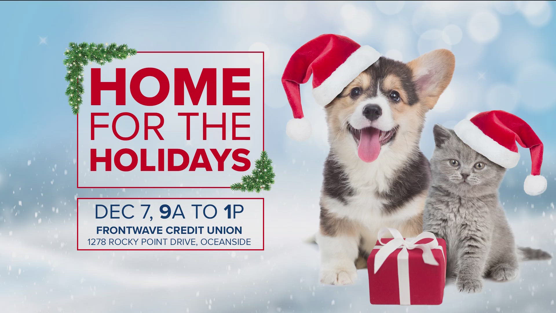 Frontwave Credit Union invites you to the Home for the Holidays pet adoption event on Saturday, Dec. 7, from 9 a.m. to 1 p.m.