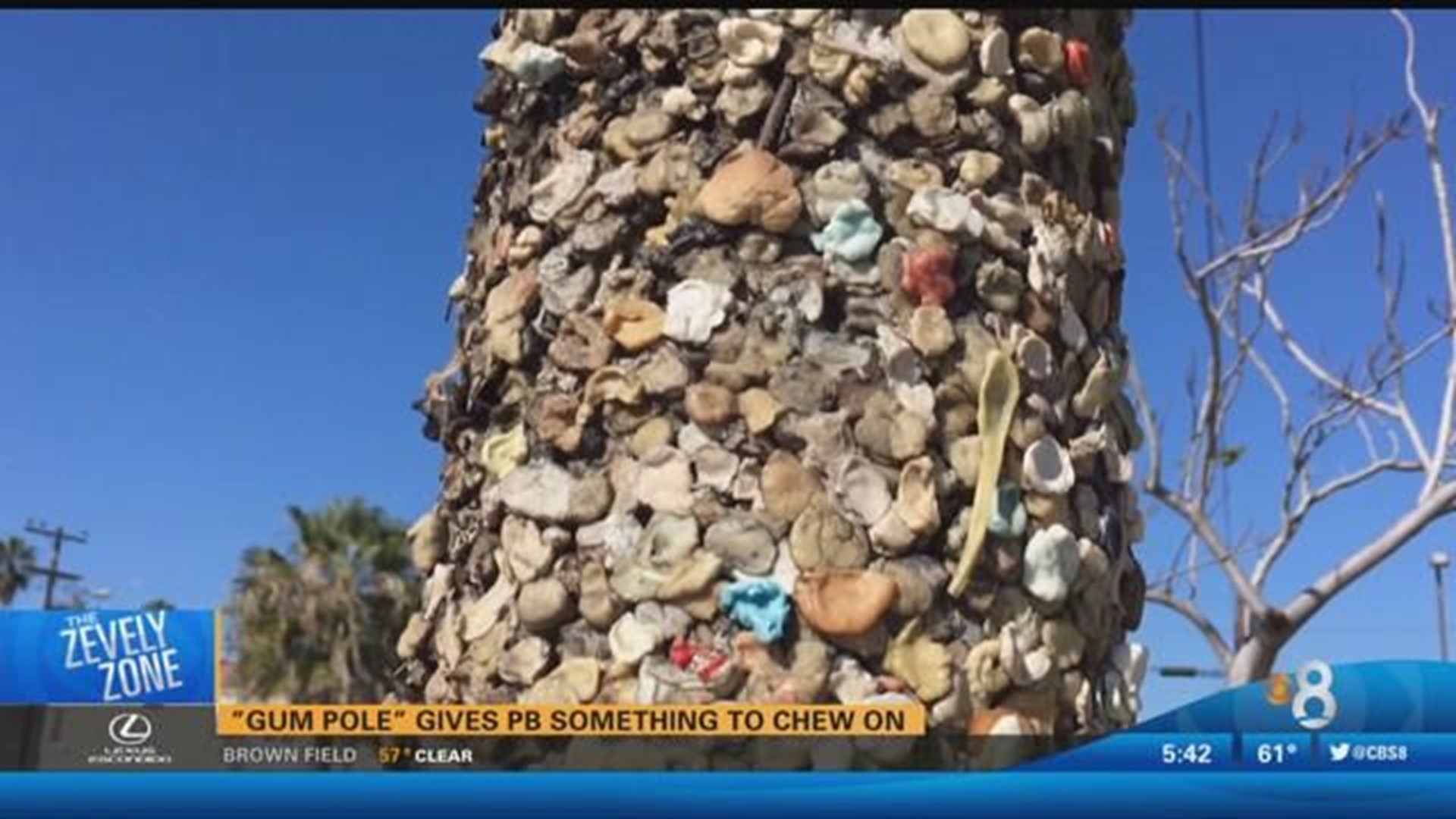 Jeff Zevely visits the Pacific Beach gum pole in 2017.