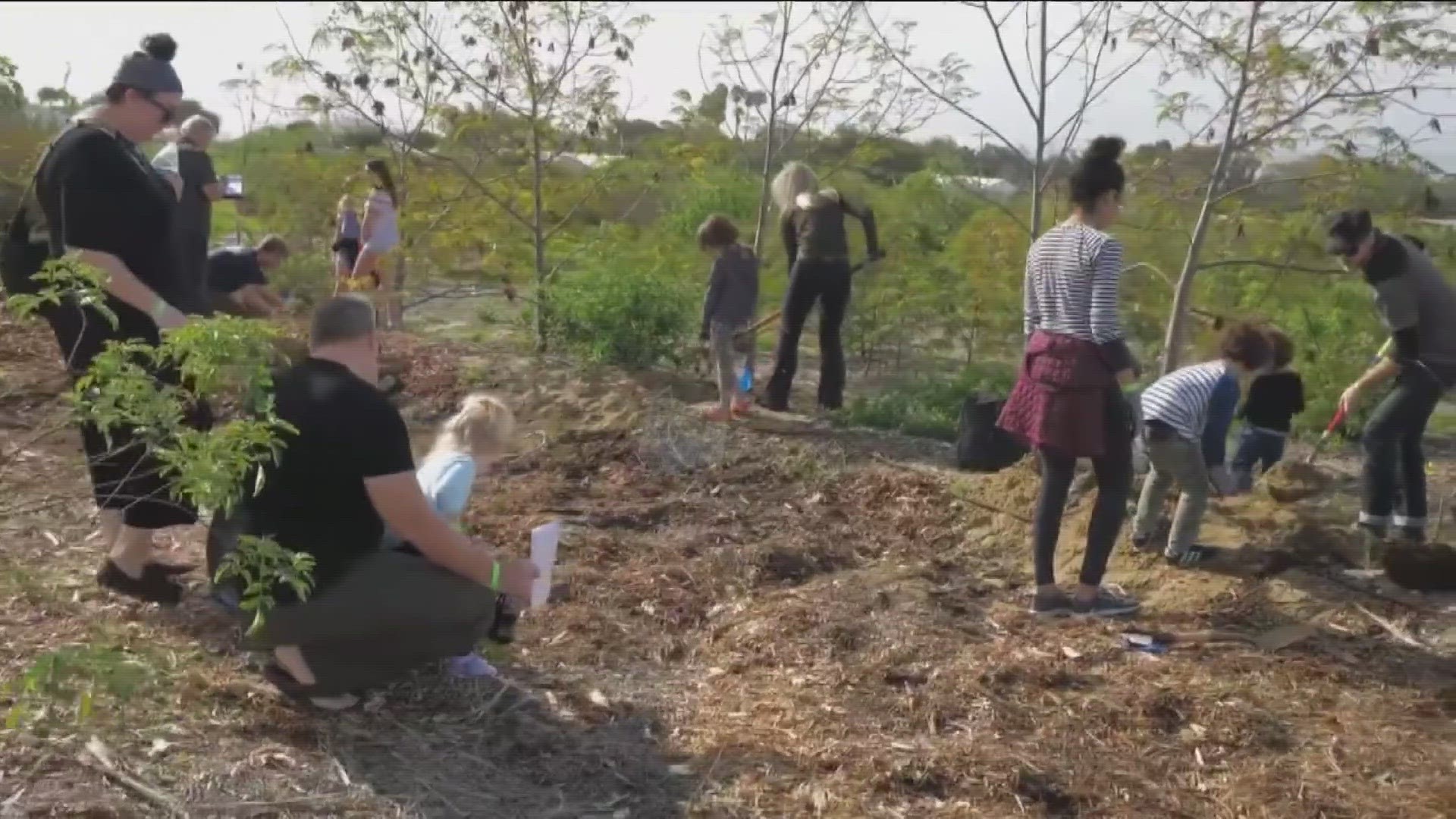 Coastal Roots Farm is hosting their annual Tu B’shvat Food Forest Festival. The celebration is open to all that honor the Jewish New Year of the Trees.