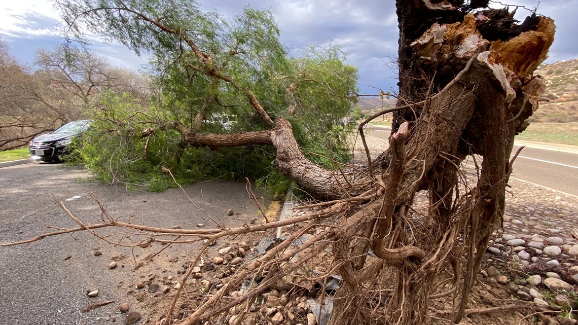 Rare storm bringing Santa Ana winds and a possibility of rain | cbs8.com