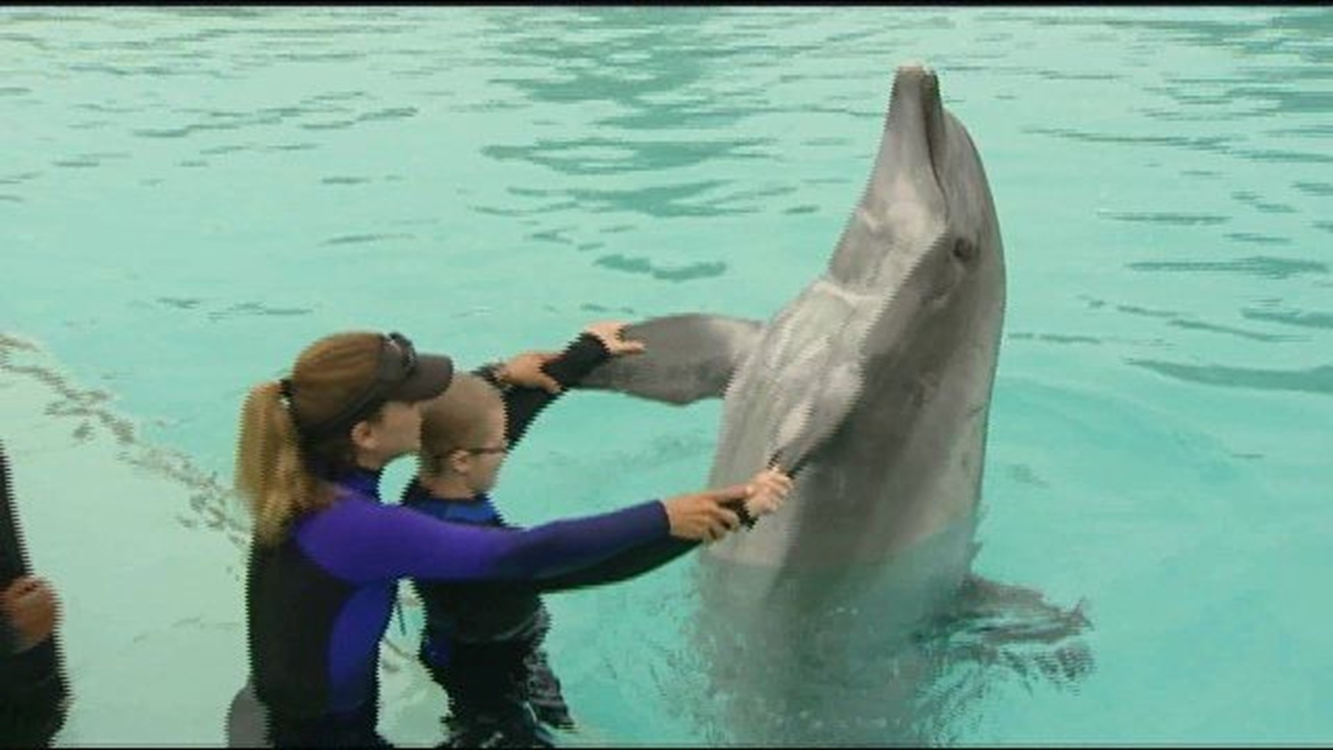 Dolphin trainer gives sick kids a big splash of hope