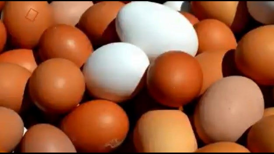 Verify Are brown eggs healthier than white ones?