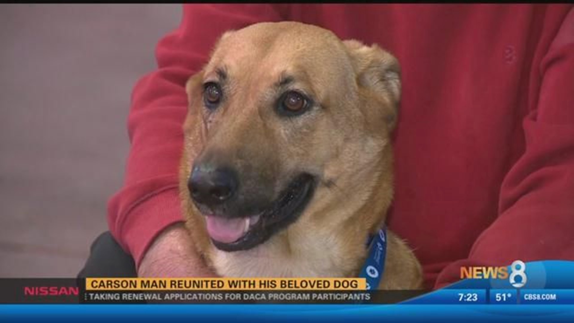 Carson man reunited with his beloved dog | cbs8.com