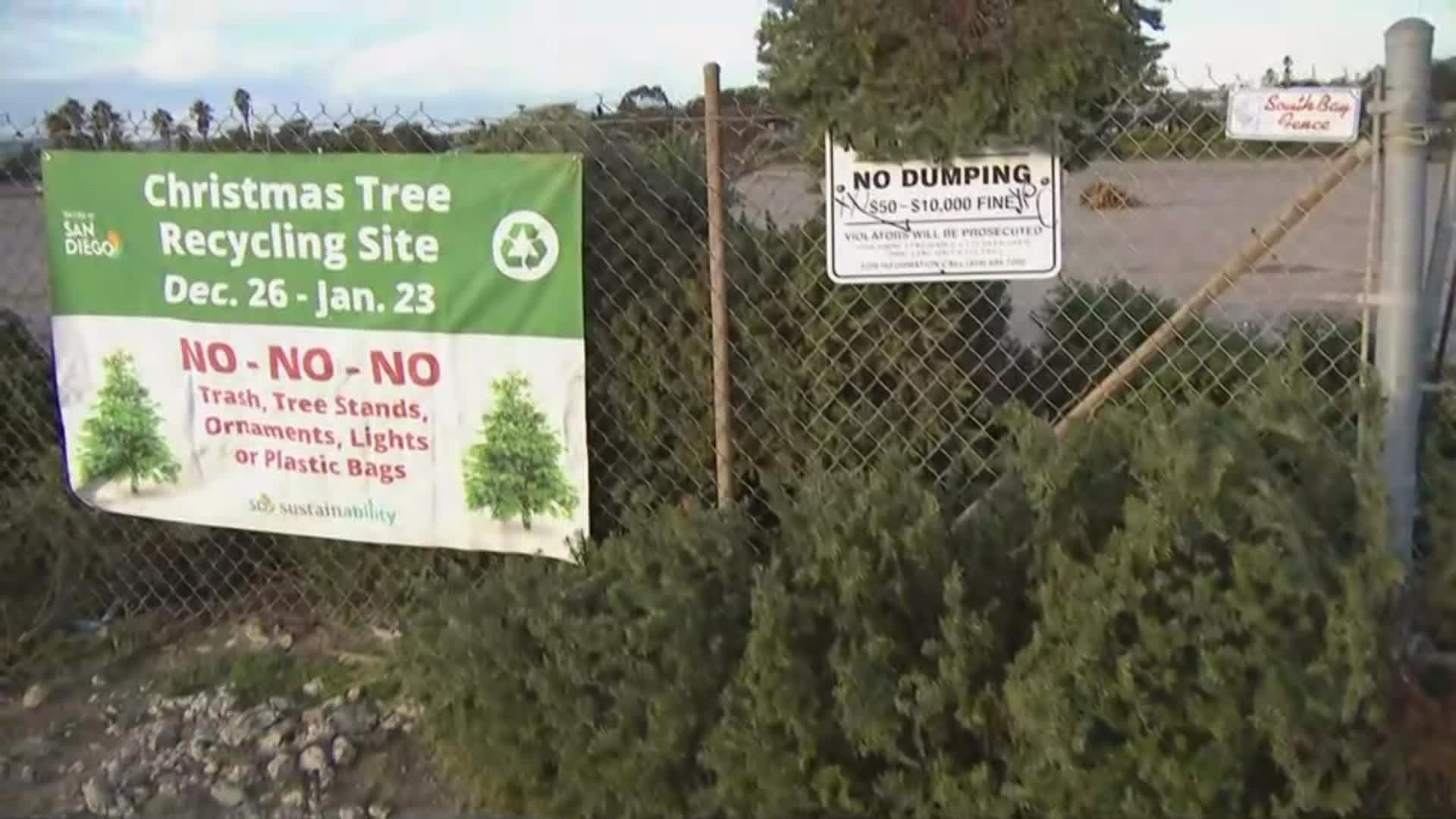 The annual Christmas Tree Recycling Program runs from Dec. 26 through Jan. 23 and features 17 drop-off locations in the city of San Diego.