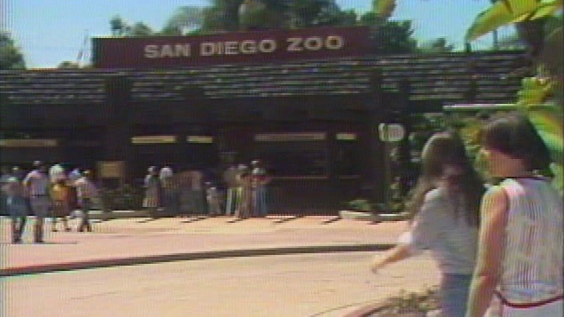 San Diego Zoo and Wild Animal Park | News 8 Throwback Special