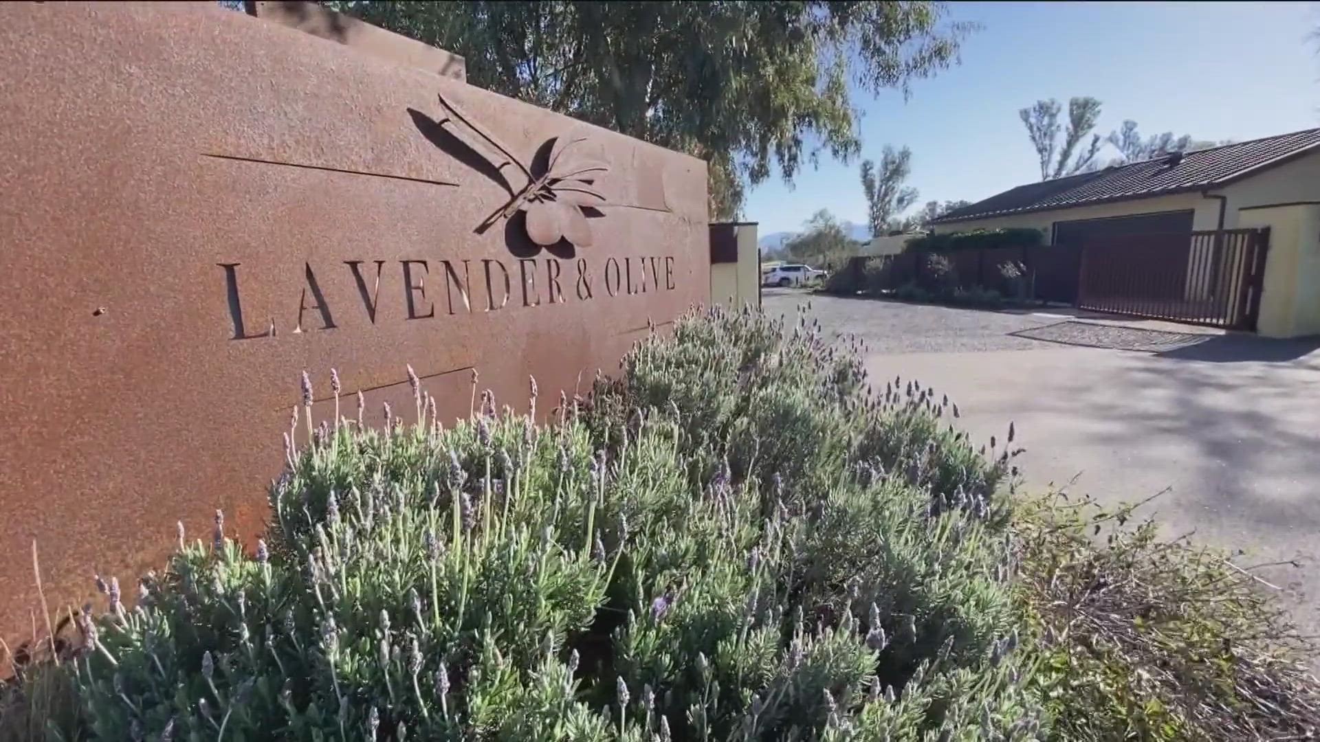 Lavender and Olive San Diego offer free weddings to five lucky couples. Two couples will tie the knot on February 14th.