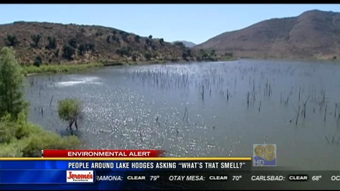People around Lake Hodges asking "What's that smell?"