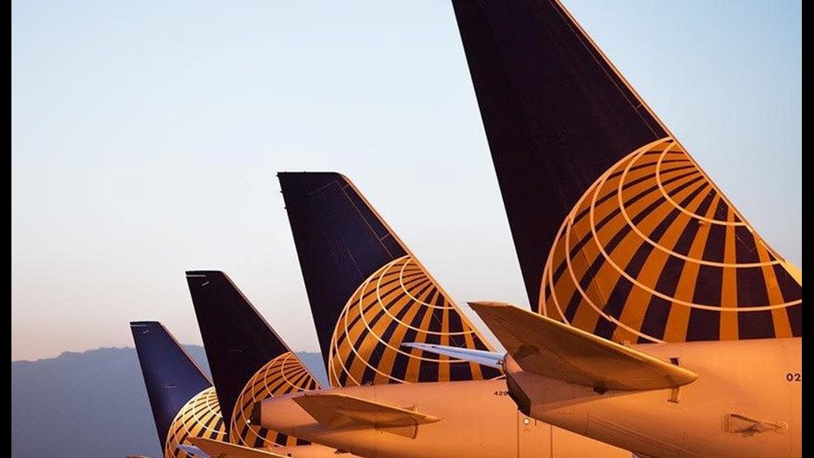 Dog dies on United Airlines flight after being stowed in overhead bin