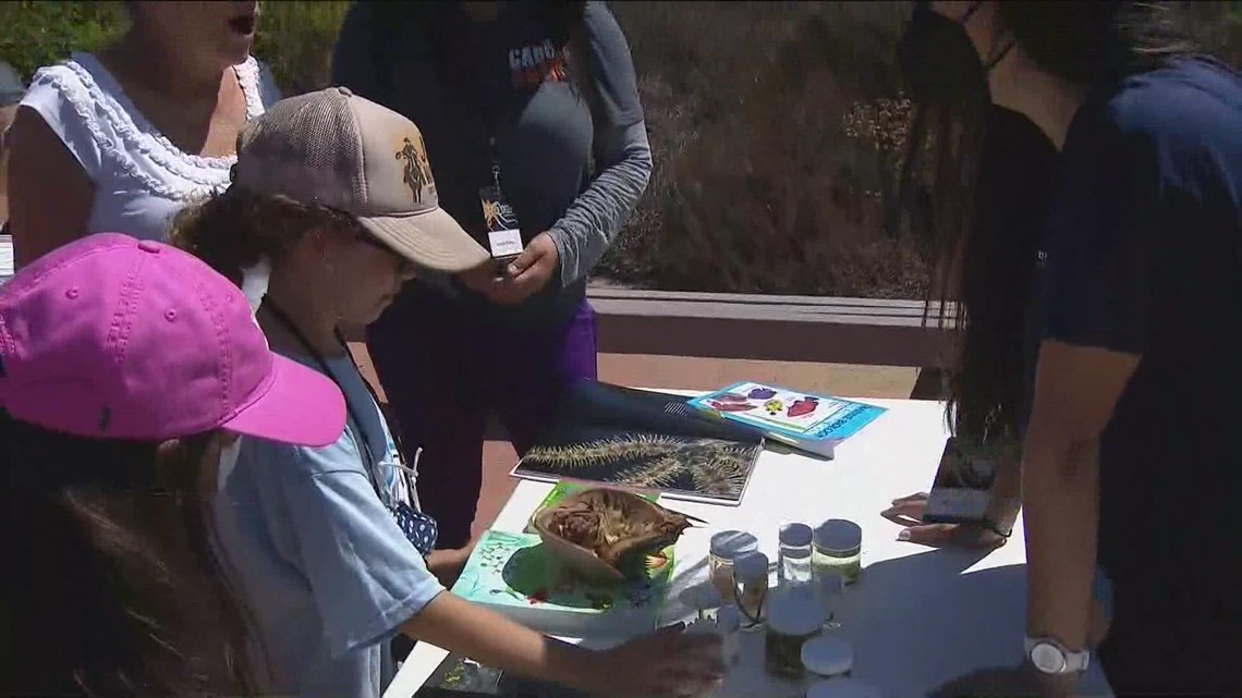 'Women in STEM Career Fair' inspiring young girls in San Diego - Vimarsana News