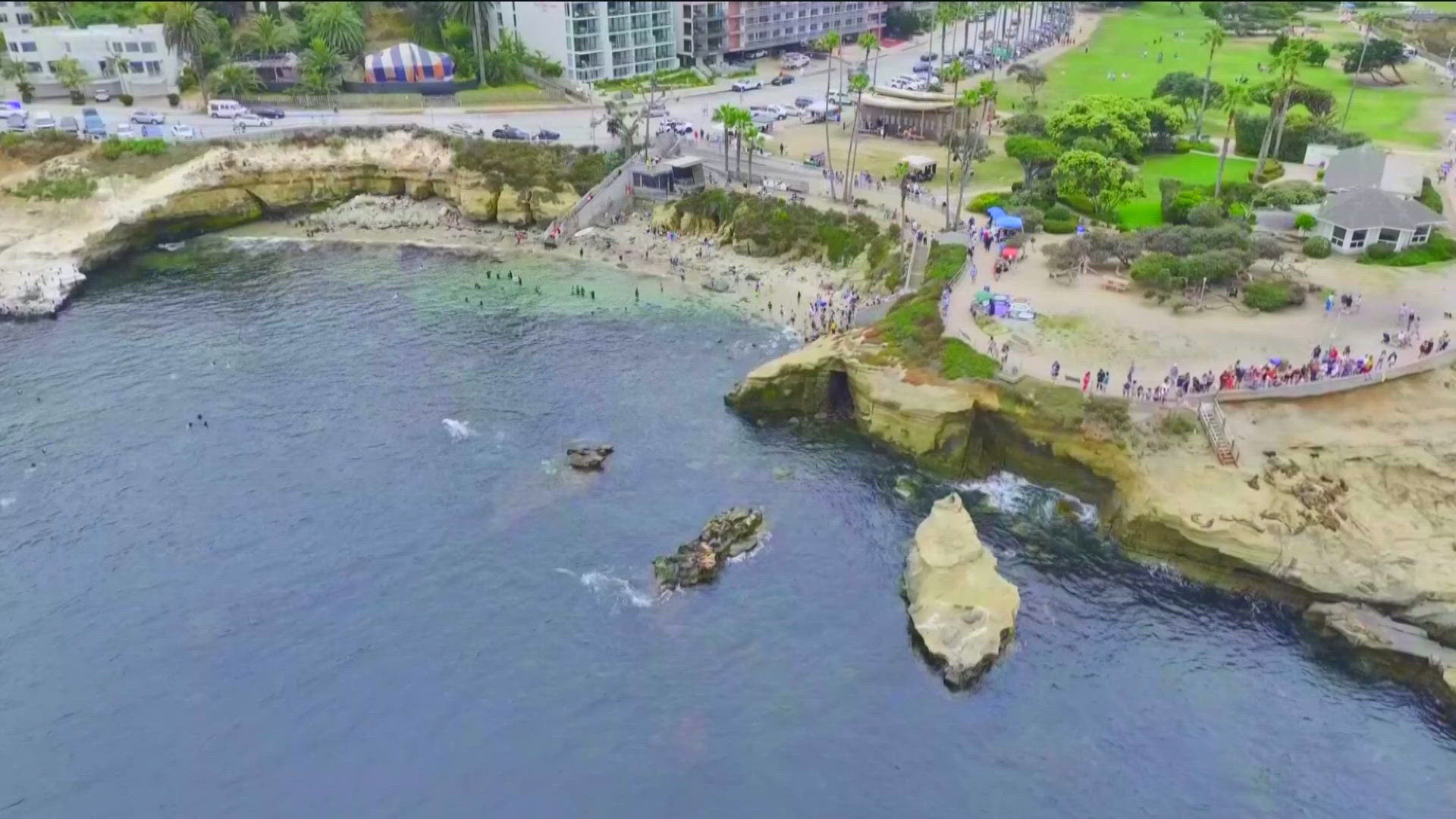 cbs8.com - Abbie Black - La Jolla Cove named No. 1 beach in America by TripAdvisor