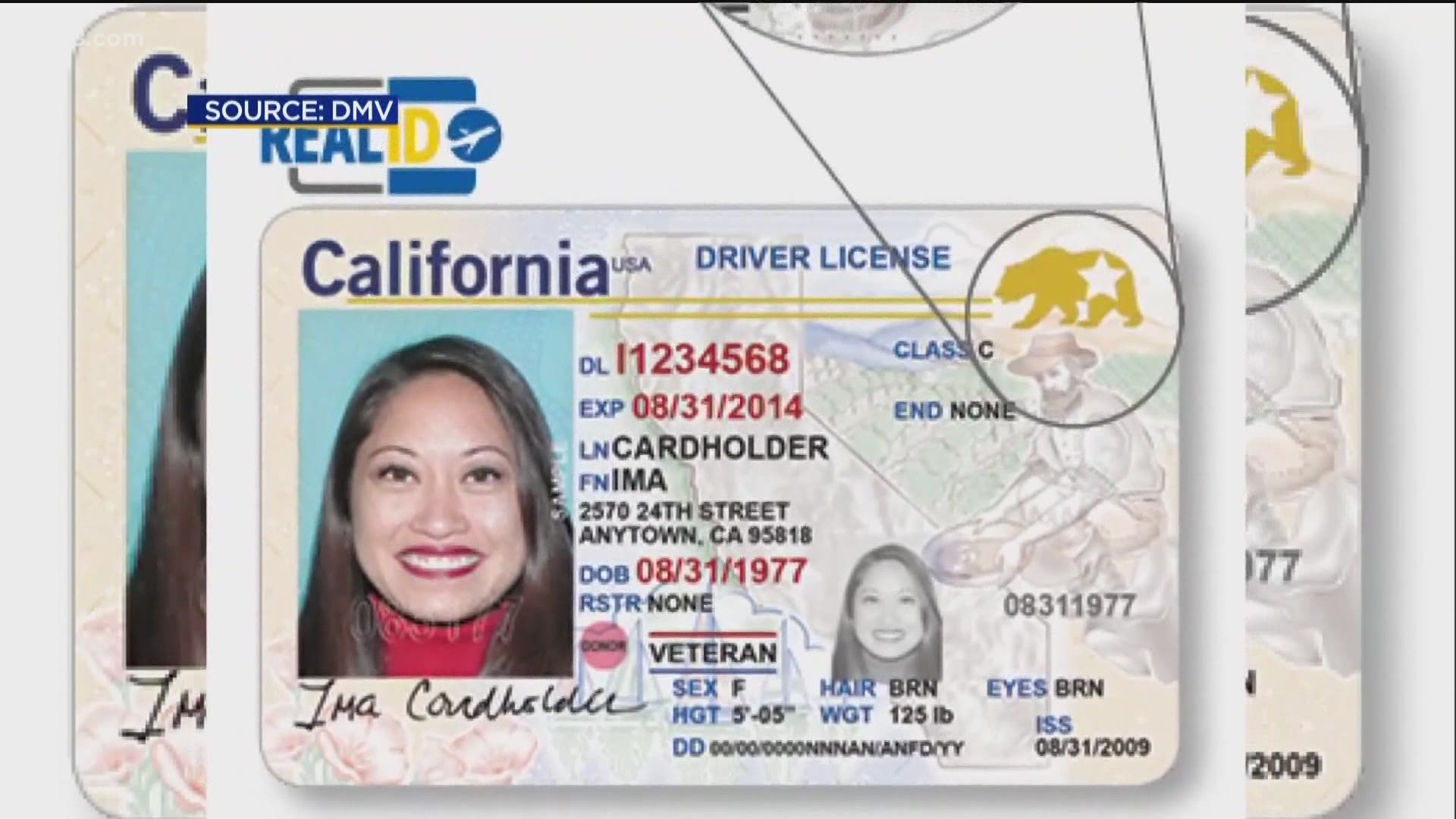 document number on drivers license california