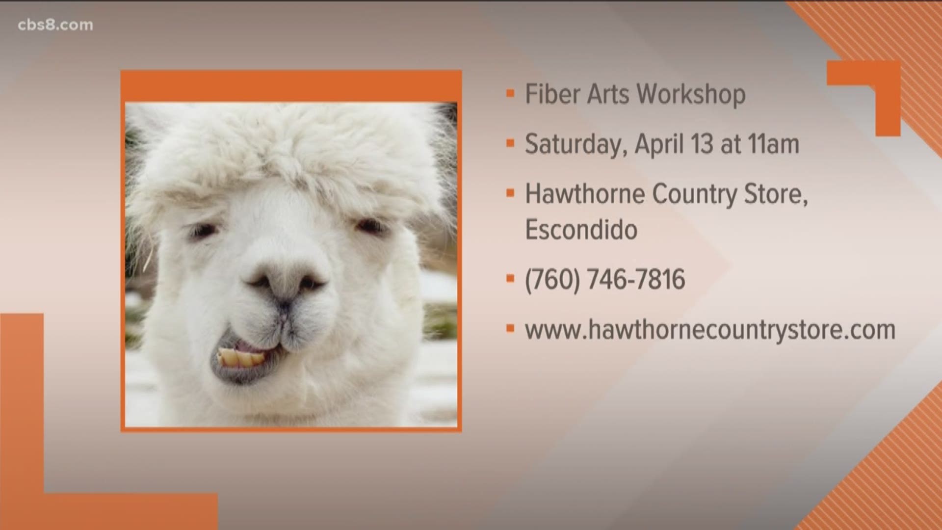 Got Sheep? Got Alpacas? Got Fleece? Yes! Hawthorne Country Story is hosting a Fiber Arts Workshop on Saturday, Apr. 13th at 11:00am