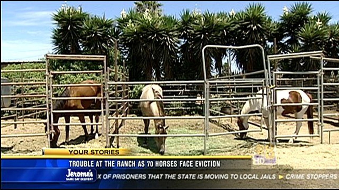 Trouble at the ranch as 70 horses face eviction | cbs8.com