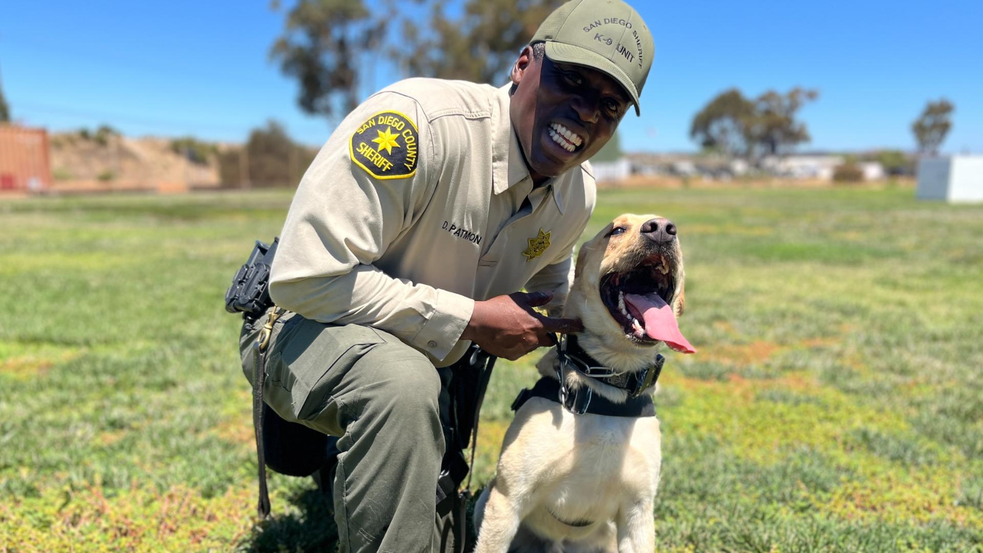 Loving Labradors could be the difference between life and death if terrorists strike.