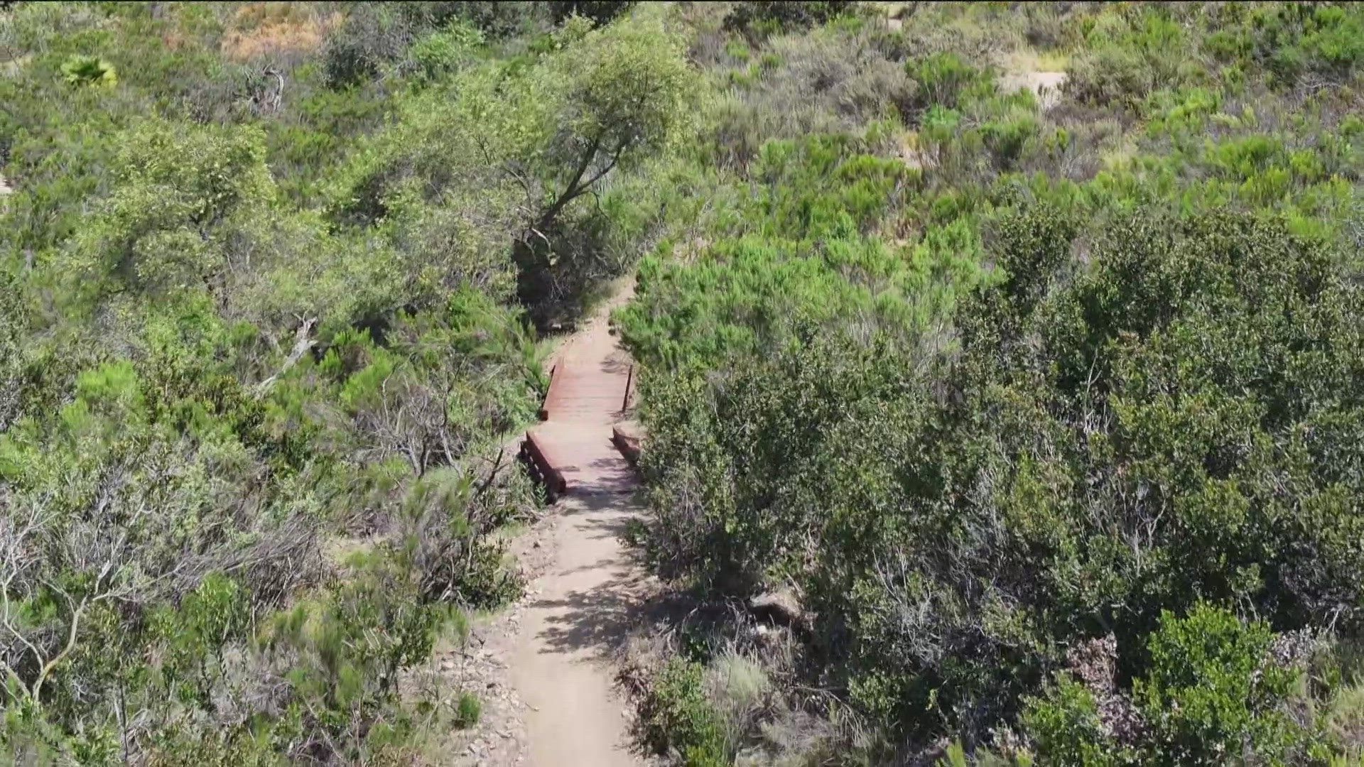 cbs8.com - Melissa Hernandez De La Cruz - Reports: Spirit Airlines asks Trump administration for emergency bailout to avoid liquidation