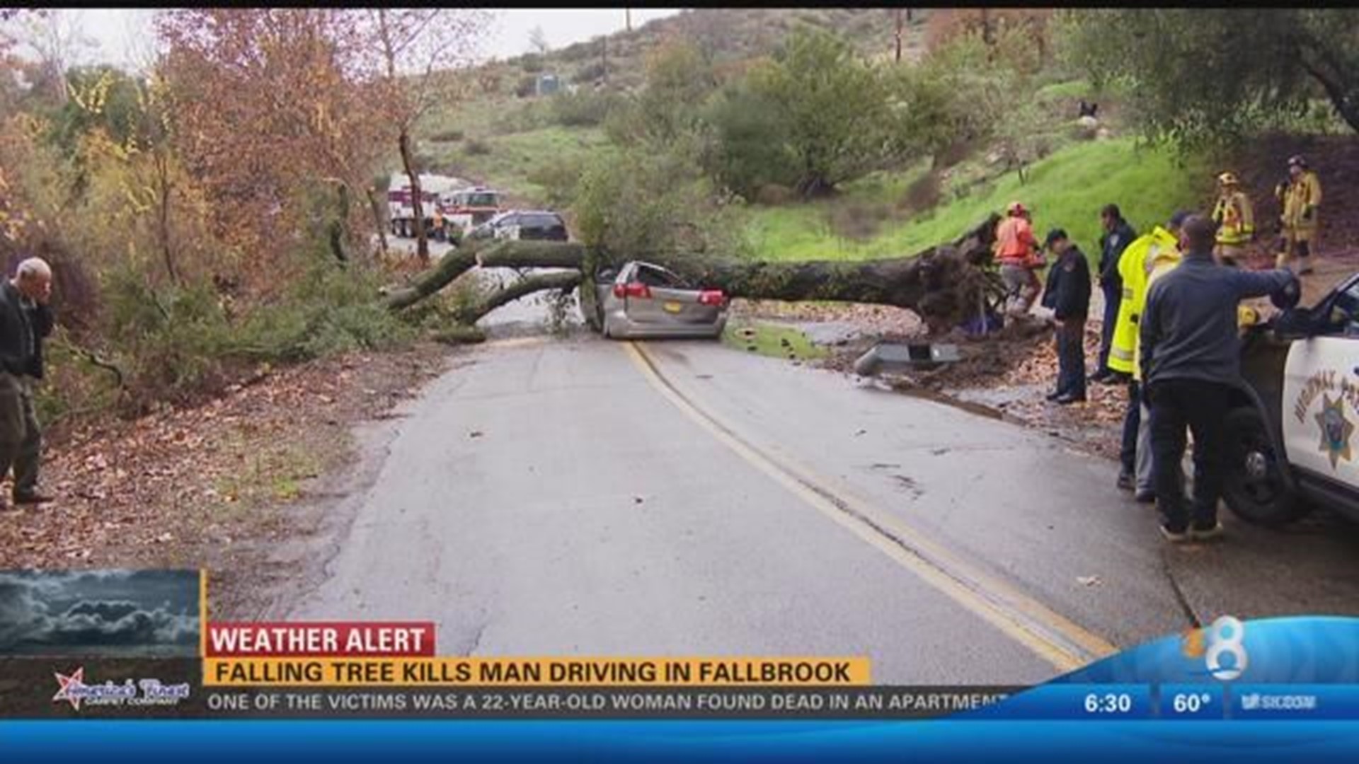 Man dies in Fallbrook after tree falls on his car