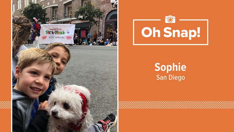Oh Snap! San Diego Pet Photos