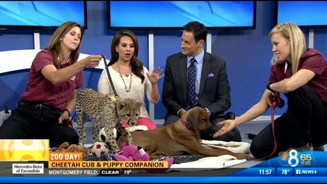 Zoo Day: Ruuxa and Raina | cbs8.com