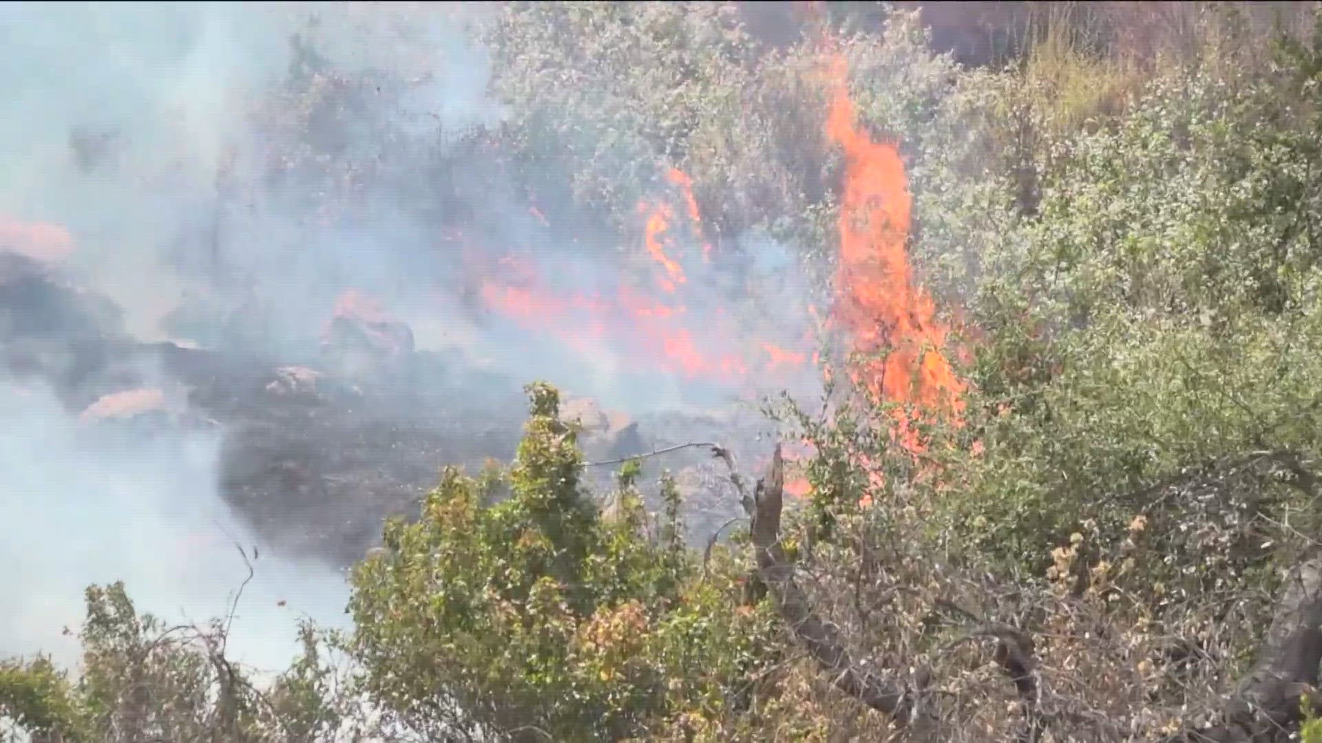 Multiple agencies helped contain the Bunnie Fire in Ramona that burned nearly 200 acres.