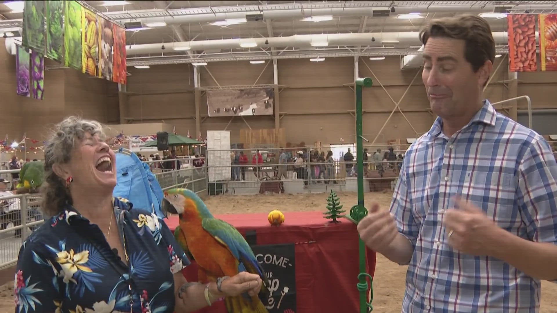 Gil and Nancy Riegler host two of the fair's most entertaining animal shows with camels and birds.