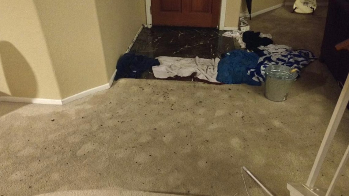 San Diego Airbnb Host Accuses Group Of Marines Of Trashing Her Home 8731