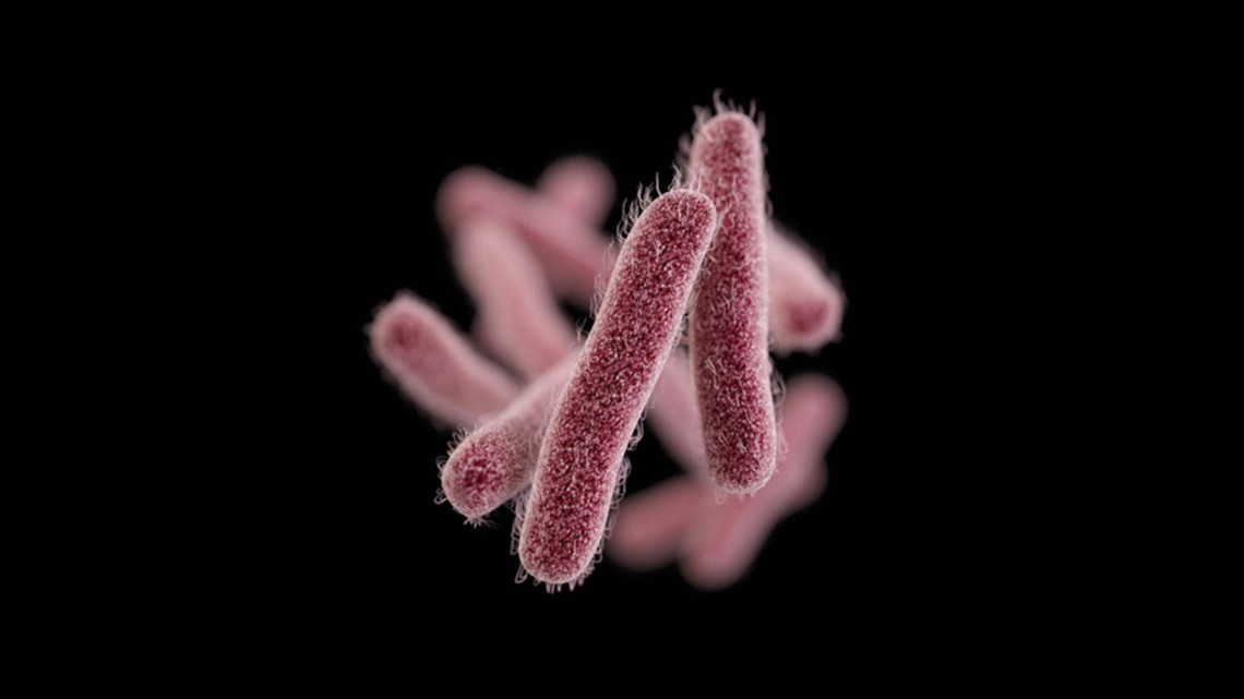 Shigella outbreak reported in City of San Diego - Vimarsana News