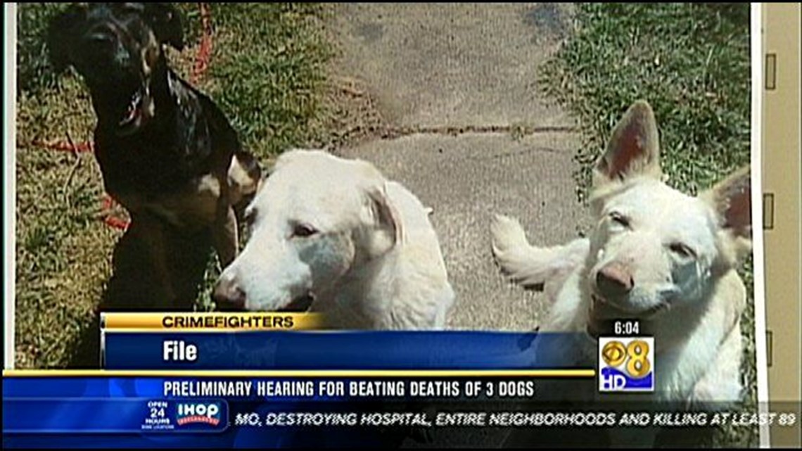 Prelim. hearing scheduled for man accused of killing dogs | cbs8.com