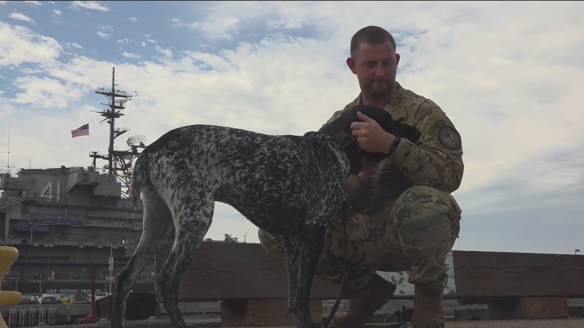 Chief Buda, the explosive detection K-9 in the U.S. Coast Guard earned top dog recognition in the military category for the American Humane Hero Dog Awards,