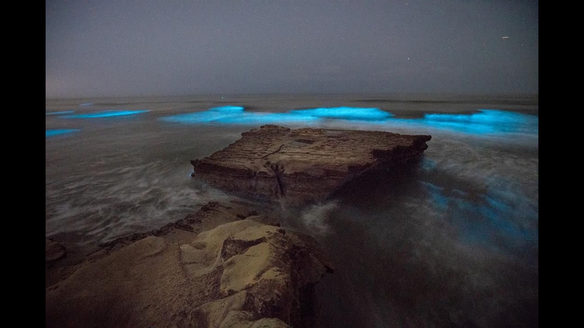 Bioluminescence Algae bloom lighting up San Diego waves at night