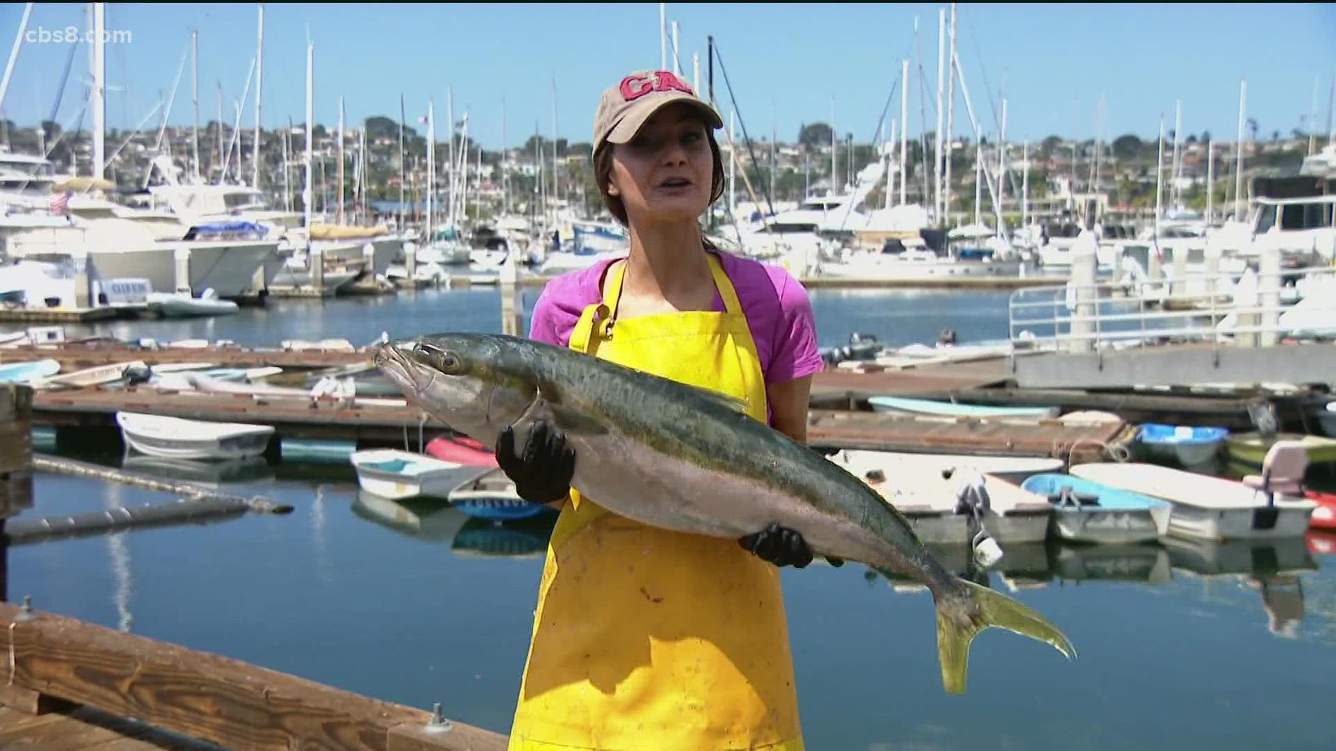 Jenny headed to Point Loma to learn about the Haworth family and to try her hand at catching fish and preparing squid.