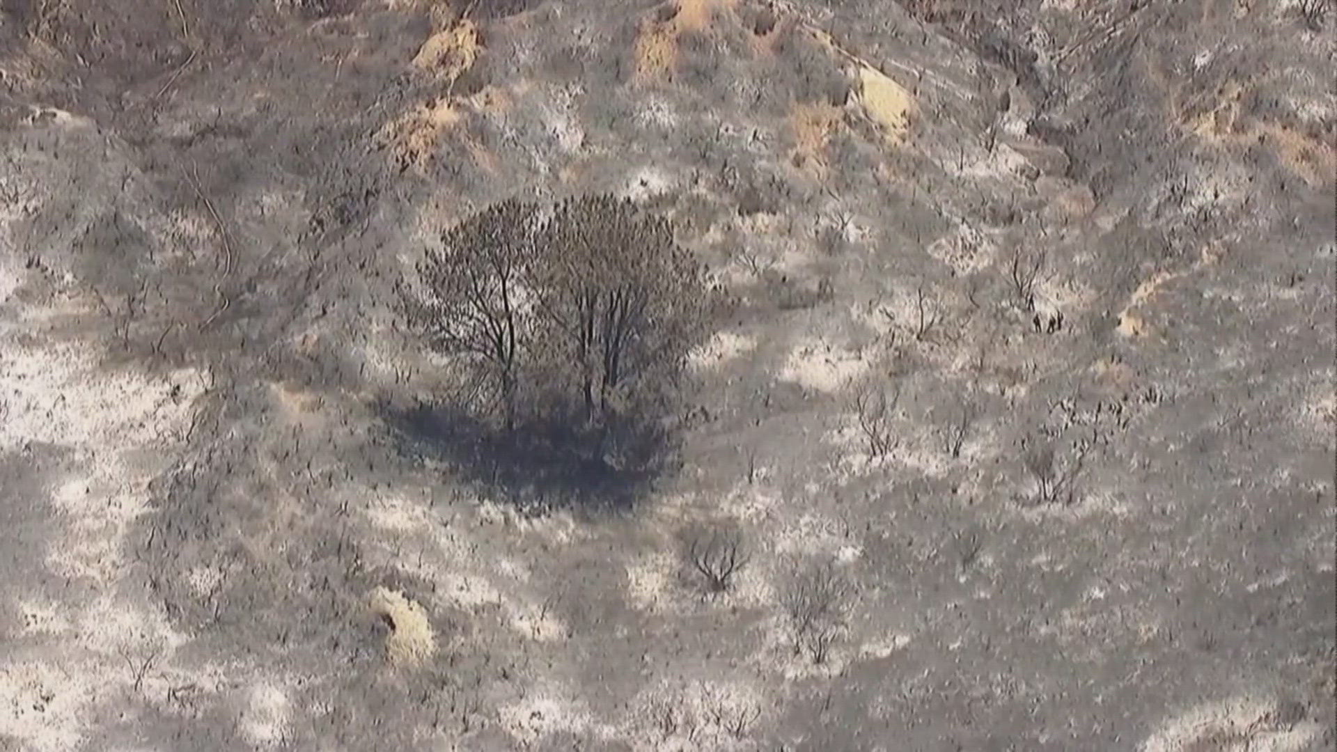 Chopper 8 returns to Del Mar one day after a brush fire erupted, threatening homes and prompting evacuations.