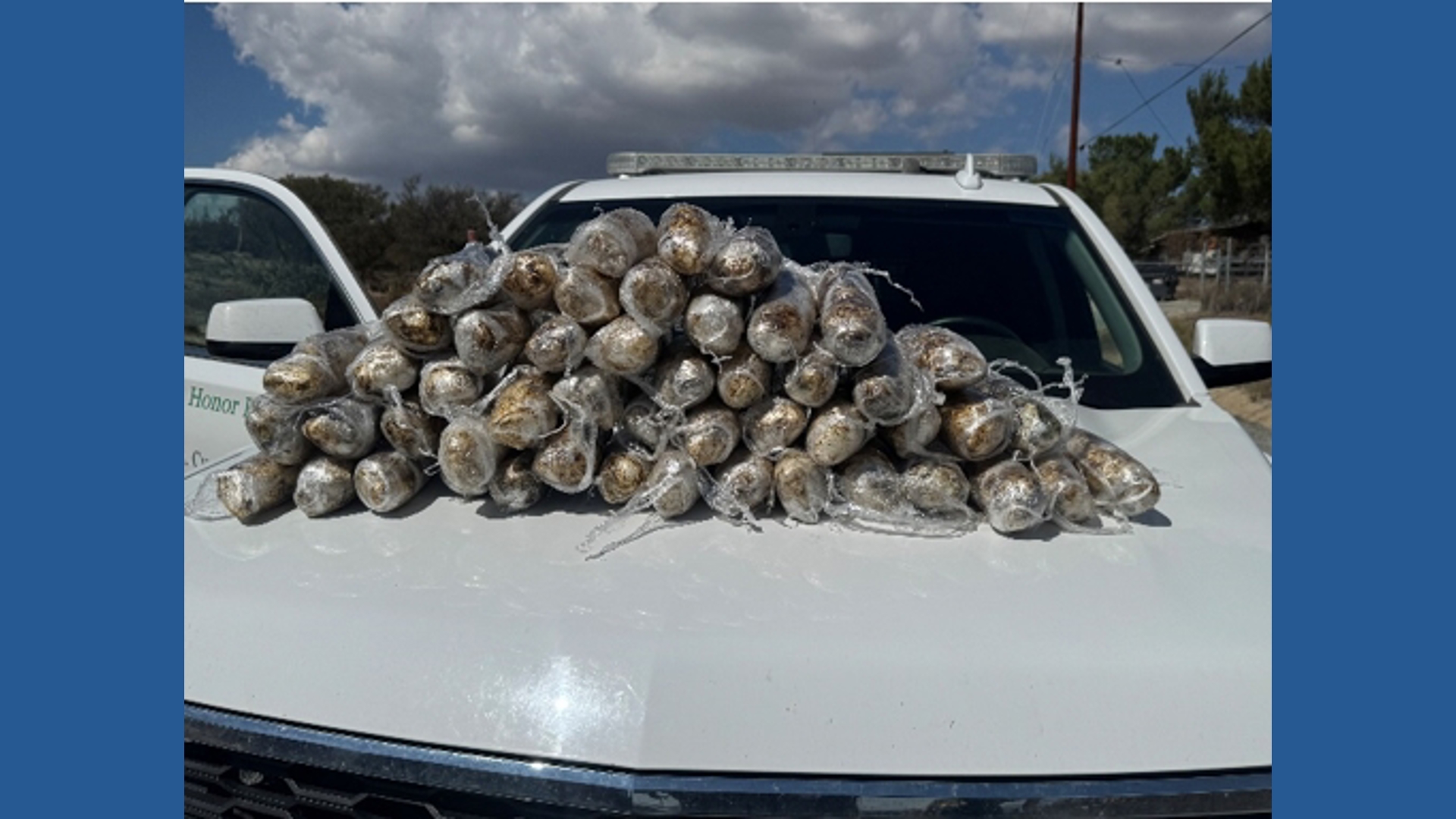 San Diego Border Patrol seizes 52 pounds of meth | cbs8.com