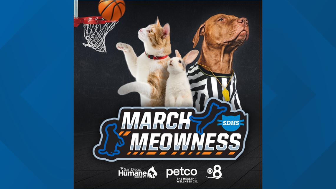 Top Dog Contest a Perfect Tie-in to March Basketball