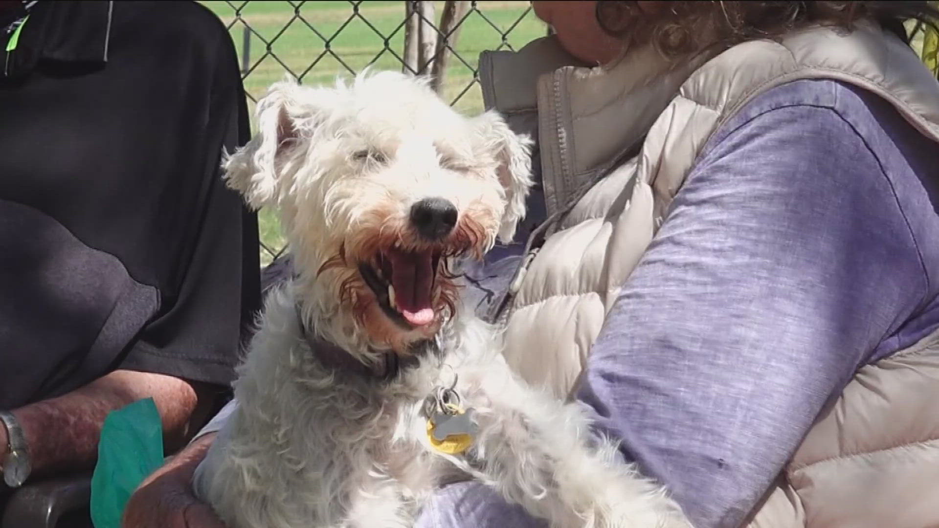 Several residents say the City of San Diego was granted money years ago to fix the off-leash dog park in their community, but no word has been done.